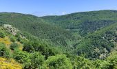 Tocht Stappen Labastide-sur-Bésorgues - la Bastide sur bezorgie - Photo 8