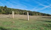 Trail Walking Collobrières - collobrieres, Lambert, laquina - Photo 9