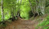 Tour Wandern Murat-le-Quaire - 220522 Murat le Quaire / lac de Guéry - Photo 4