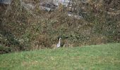 Tocht Stappen Thimister-Clermont - Thimister : Balade de la Bettefontaine à la Bèfve - Photo 17