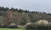 Tour Wandern Manhay - rando deux rys 12-04-2023 - Photo 2