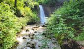 Trail Walking Blumberg - Cascade Schleifenbach et gorges de Wutach - Photo 3