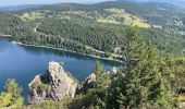 Excursión Senderismo Le Valtin - Lac blanc - Photo 20