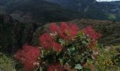 Trail Walking Daluis - Gorges du Daluis - Photo 1