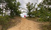 Trail Walking Maaseik - Gruitroderbos -  dunes - Photo 16