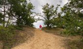 Percorso Marcia Maaseik - Gruitroderbos -  dunes - Photo 16