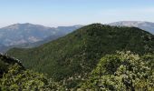 Excursión Senderismo Chaudebonne - la serre de crema - Photo 10