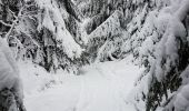 Randonnée Marche Neuviller-la-Roche - Natzwiller - cascade de la Serva - Champ du Feu - Photo 2