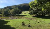 Trail Walking Camps-sur-l'Agly - Pech de Bugarach (départ de la Bastide - Camps-sur-l'Agly) - Photo 9