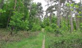 Randonnée Marche Choisy-au-Bac - en forêt de Laigue_14_05_2021_les Chemins du Plessis-Brion et de la Voie de l'Eau - Photo 2