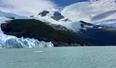 Trail Motorboat Unknown - Sortie Bateau Patagonie 5 Glacier Spegazzini - Photo 1