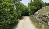 Trail Walking Omblèze - Le Plateau d'Ambel du Col de la Bataille - Photo 3