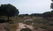 Trail Walking Torreilles - Les Dunes Juhègues - Photo 1