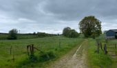 Tour Wandern Chastre - Chastre hevillers - Photo 8
