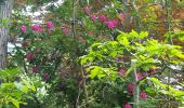 Randonnée Marche Nerville-la-Forêt - Rhododendron - Photo 5