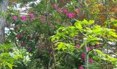 Percorso Marcia Nerville-la-Forêt - Rhododendron - Photo 5