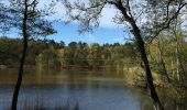 Tour Zu Fuß Märkisch Buchholz - Rundwanderweg Köthener Heideseen - Photo 6