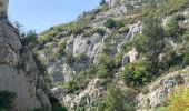 Tocht Stappen Cassis - Plan olive - Photo 14