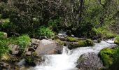 Tour Wandern Eyne - vallée d' eyne - Photo 1