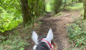 Trail Horseback riding Bastogne - Livarchamps 28 août 2021 - Photo 12