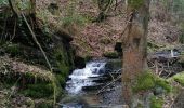 Trail Walking La Roche-en-Ardenne - La Roche n 8 - Photo 3