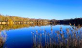 Randonnée Marche Fère-en-Tardenois - Fere en Tardenois Parc des Bruyères - Photo 1