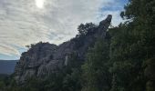 Randonnée Marche La Roquebrussanne - Jas d'Agnis au départ de la Roquebrussanne par le vallon de Valescure - Photo 18