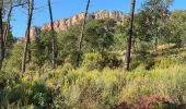 Excursión Senderismo Bagnols-en-Forêt - Crête Diaou et gorges du Blavet - Photo 2