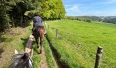 Trail Horseback riding Bastogne - Tripoux mai 2023 2 - Photo 4