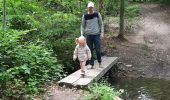 Randonnée Marche Ohey - Promenade des Petits Ponts- Bois d'Ohey - Photo 1