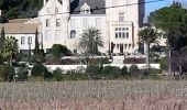 Tocht Stappen Capestang - Capestang château les Carrasses - Photo 8