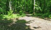 Tocht Stappen Vendôme - Randonnée dans le Bois de l'Oratoire à Vendôme  - Photo 9