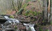 Trail Walking La Roche-en-Ardenne - Nisramont-Tibewez-Barrage - Photo 3