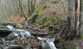 Percorso Marcia La Roche-en-Ardenne - Nisramont-Tibewez-Barrage - Photo 3