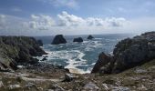 Tocht Stappen Camaret-sur-Mer - Autour de Camaret - Photo 3