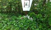 Trail On foot Eupen - Zur Blockhütte und Diepbach - Photo 1