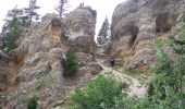 Tocht Stappen Die - Le Glandasse (Abbaye-Comptoir à moutons-Fauchard-Abbaye) - Photo 9