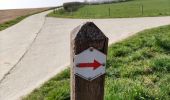 Excursión Senderismo Tongeren - Promenade de la beauté cachée à Lauw  - Photo 5