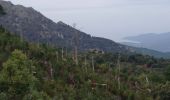 Excursión Senderismo Moca-Croce - Monte San Petru - Photo 14