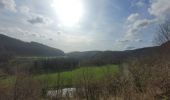 Trail Walking La Roche-en-Ardenne - rando samrée 19-03-2024 - Photo 11