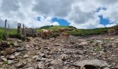 Randonnée Marche Mont-Dore - 2021-07-01 puy de sanctions départ du capucin  - Photo 8
