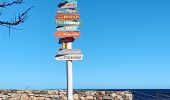 Tocht Stappen Argelès-sur-Mer - argeles - collioure / retour par la mer  - Photo 9