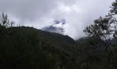 Trail Walking La Possession - Marla Cilaos - Photo 9