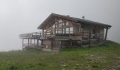 Randonnée Marche Arâches-la-Frasse - Flaine, col Pelouse par la cabane de Balacha - Photo 4