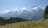 Randonnée Marche Sainte-Foy-Tarentaise - 240821 - Tignes - leMonal via St Foy et ... chenal - Photo 2