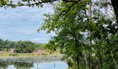 Tocht Stappen Zonhoven - de-wijers-de-teut-instapplaats-donderslagseweg-blauw - Photo 6