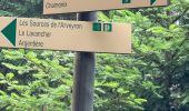 Tocht Stappen Chamonix-Mont-Blanc - Chamonix : Les Bois - le chapeau  - Photo 10