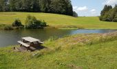 Trail Walking Beulotte-Saint-Laurent - Beulotte St Laurent - le plateau des Mille Etangs - Photo 13