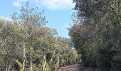 Trail Walking Taillet - notre dame del roure .  taillet . Notre dame del roure  - Photo 4