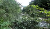 Percorso A piedi Sasca Montană - Sasca Română – Cheile Nerei (red triangle) - Photo 9